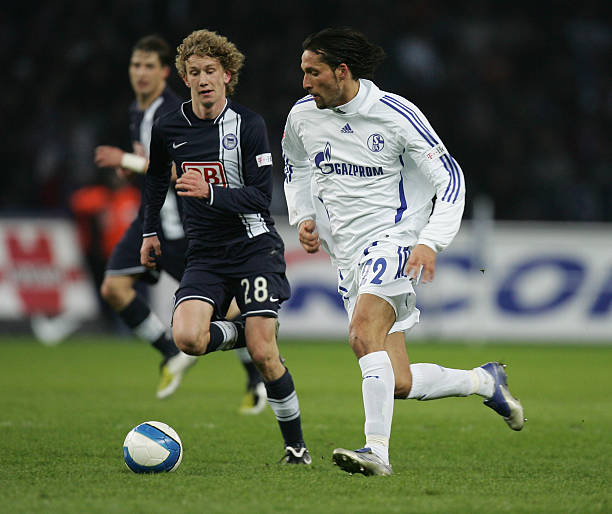 本文将深入 本文将深入